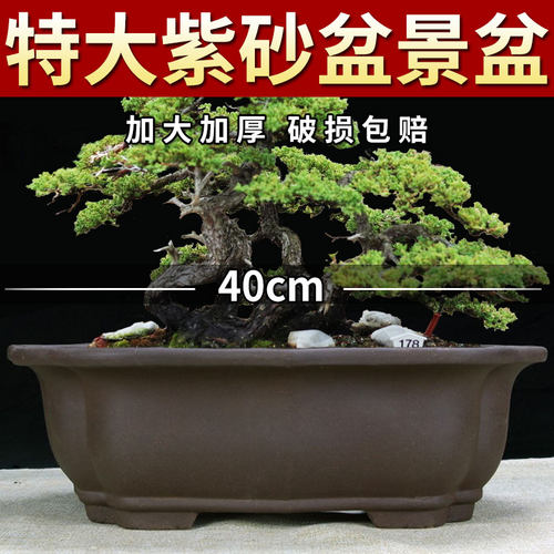 宜兴紫砂简约古典特价清仓