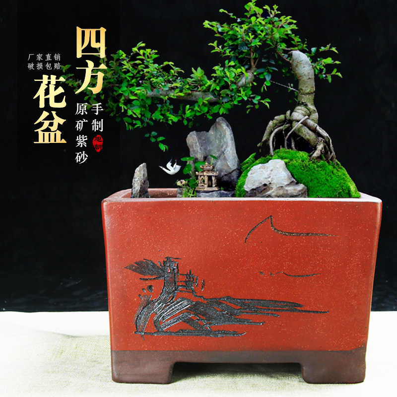 特大号四方紫砂花盆特价清仓花卉绿植种树超大高兰花盆陶瓷花盆,鲜花速递/花卉仿真/绿植园艺,花盆,淘宝优惠券,粉丝福利购,淘宝优惠卷