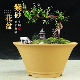 宜兴紫砂花盆特价圆口斗笠碗盆景盆阳台君子兰绿萝多肉简约陶瓷盆