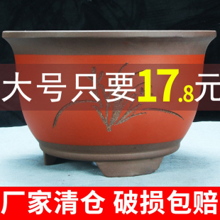 特大紫砂兰花盆特价清仓种树三角金钟君子兰圆口刻绘大号陶瓷花盆