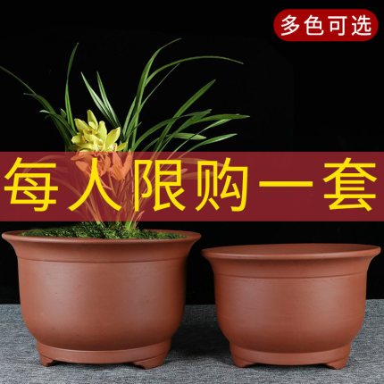宜兴特大号紫砂兰花盆清仓特价盆景君子兰绿萝陶瓷陶盆阳台种菜盆