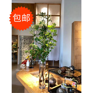 醉马木 鲜切日本进口马醉木鲜切枝条水培日式吊钟水养绿植物网红