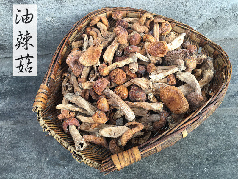 何氏山珍 纯天然野生油辣菇 四川平武特产 100g