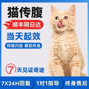 猫咪传腹干性湿性水剂油剂针剂抑制剂消腹水口服片剂腹膜炎营养液