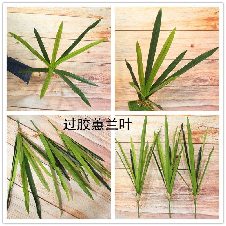 仿真花会兰叶子蝴蝶兰叶子假花假花兰花叶子过胶9片叶子插花配材