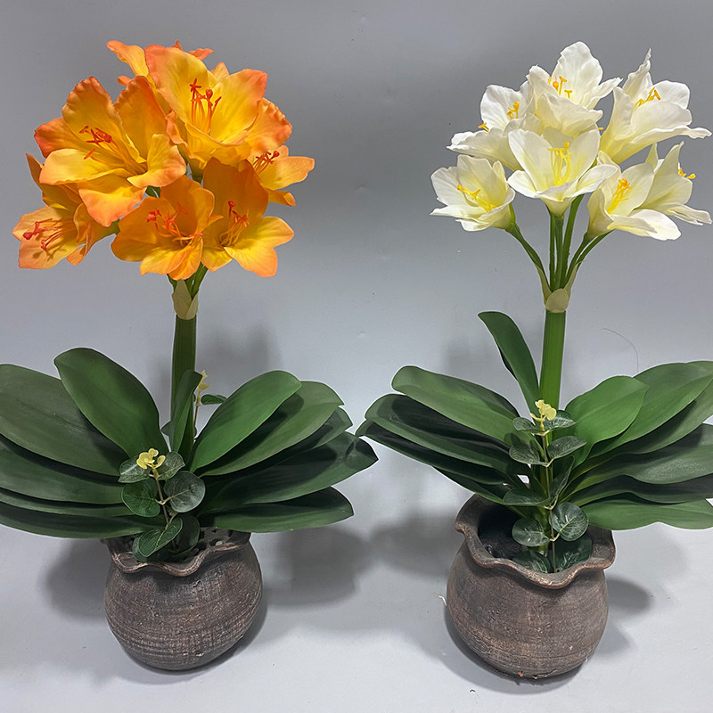 仿真手感君子兰花盆栽客厅室内装饰花艺摆件餐桌摆放装饰,家居饰品,仿真花/假花,淘宝优惠券,粉丝福利购,淘宝优惠卷