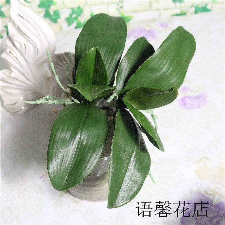 仿真花卉蝴蝶兰叶子仿真花草兰手感蝴蝶叶配叶插花叶子假花假叶片