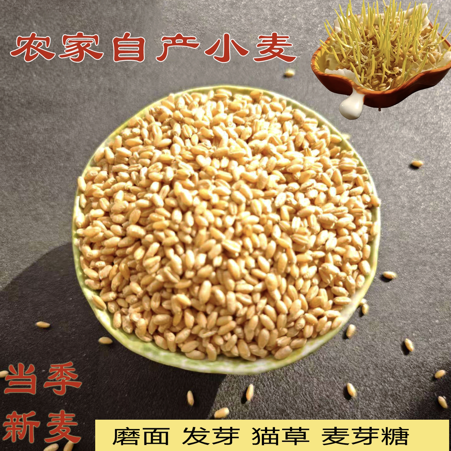 农家当季带皮胚芽小麦
