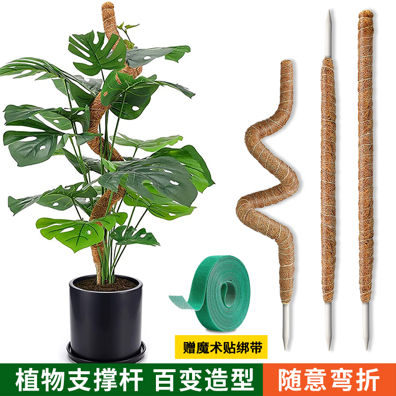 龟背竹支撑杆绿箩攀爬柱椰棕棒绿萝固定架变形爬藤花架棕榈柱椰丝