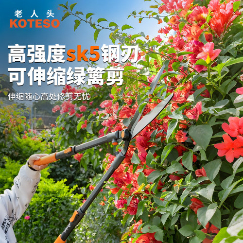 老人头KOTESO园艺大剪刀绿篱剪