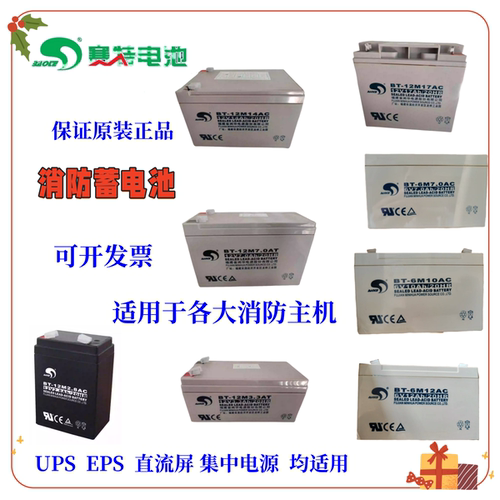 赛特消防蓄电池全型号BT系列包邮
