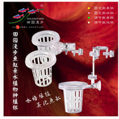 田园漫步水植物种植杯鱼缸水培红薯水草杯定植篮植物鱼缸挂杯篮子