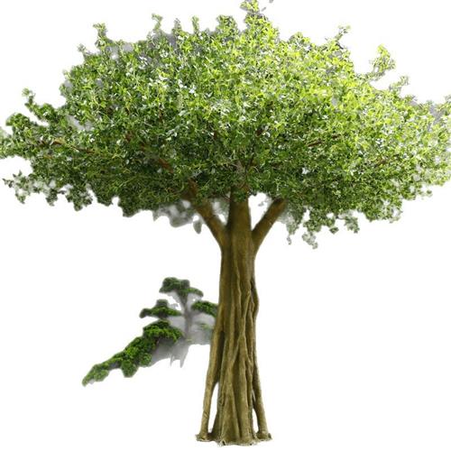 假树仿真树大型室内装饰实木客厅酒店发财树绿植物盆栽吊钟树