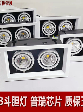 led斗胆灯双头射灯单头三头方形吊顶格栅天花筒灯嵌入式COB豆胆灯