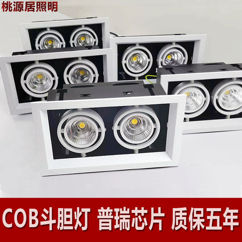 LED斗胆灯方形嵌入式双头射灯
