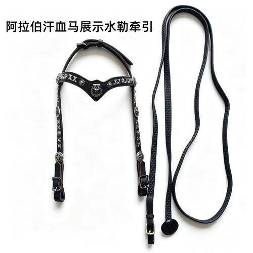 阿拉伯马汗血马展示龙头