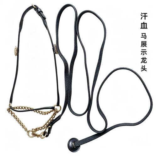 汗血马展示龙头套装比赛用