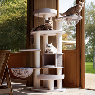 兽牌森林猫爬架实木猫窝猫树一体多猫大猫专用大型猫缅因家用剑麻