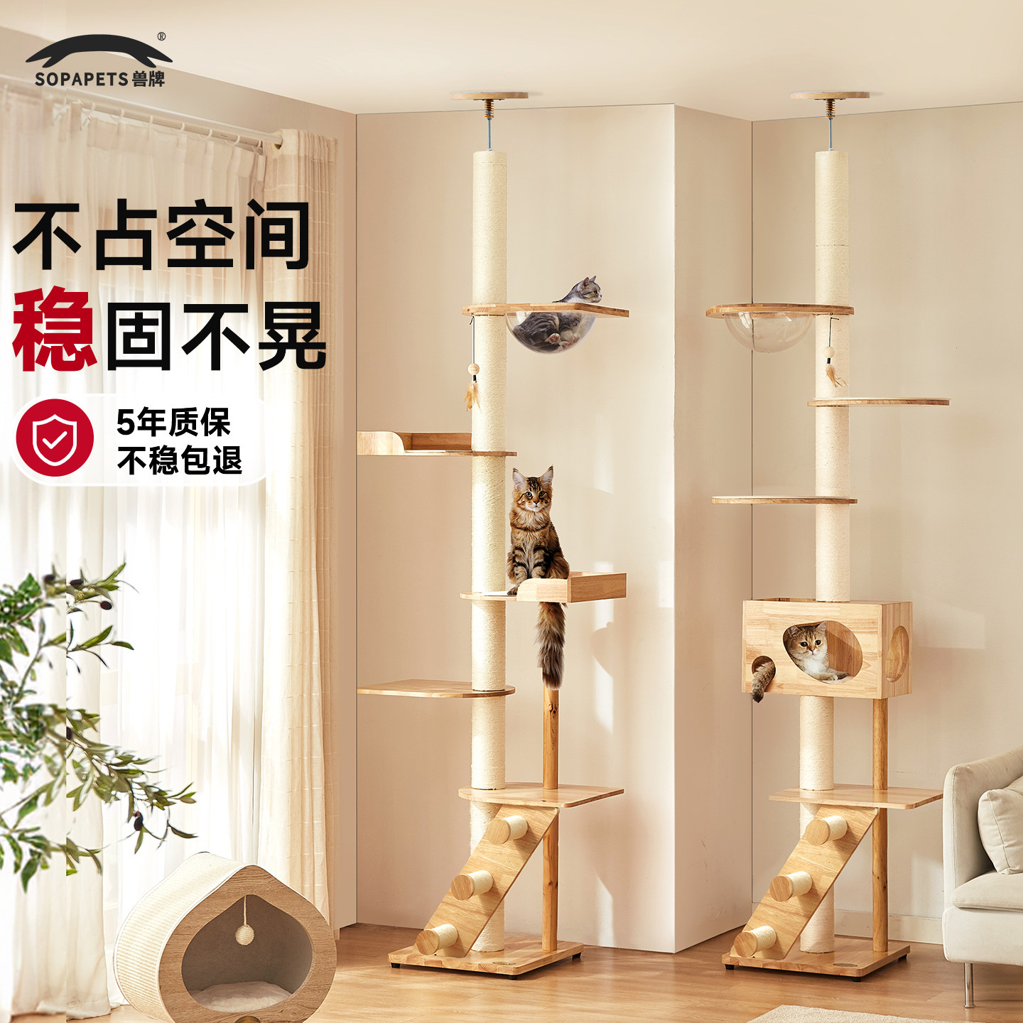 兽牌云霄猫爬架通天柱顶天立地高层不占地方实木靠墙占地小猫爬柱