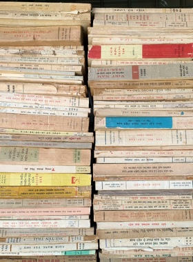 外文越南文复古旧书文学历史装饰书特色酒店摄影棚样板间道具