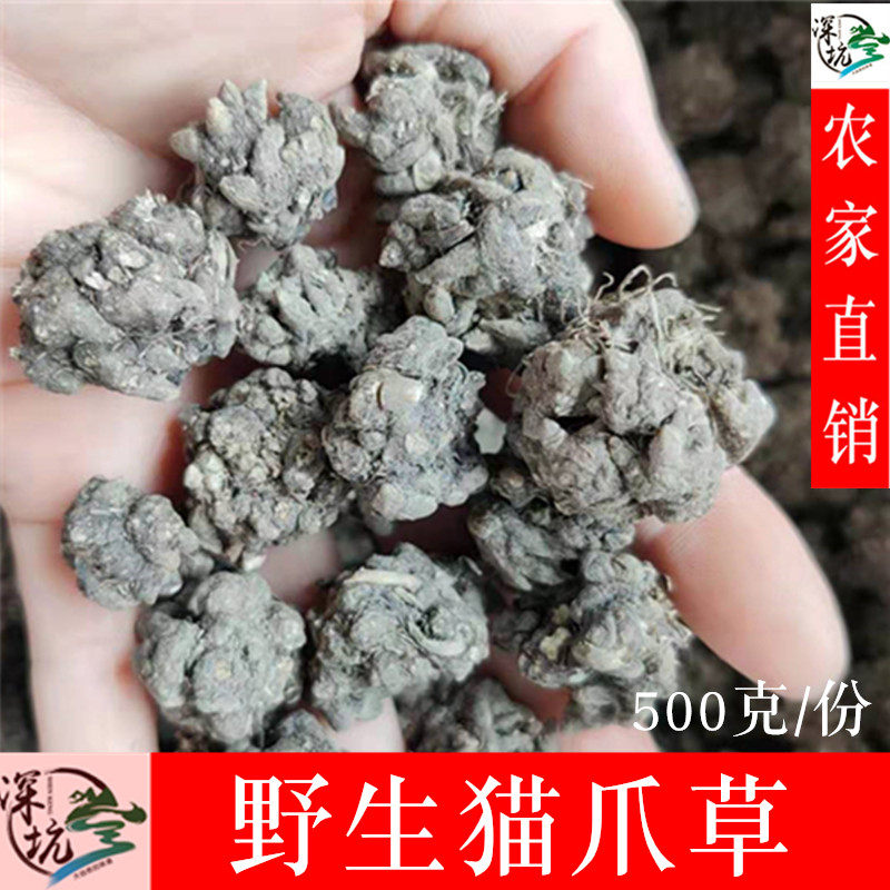 野生中药材正品500克包邮猫爪草