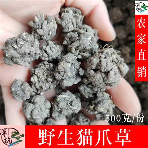 野生中药材正品500克包邮猫爪草