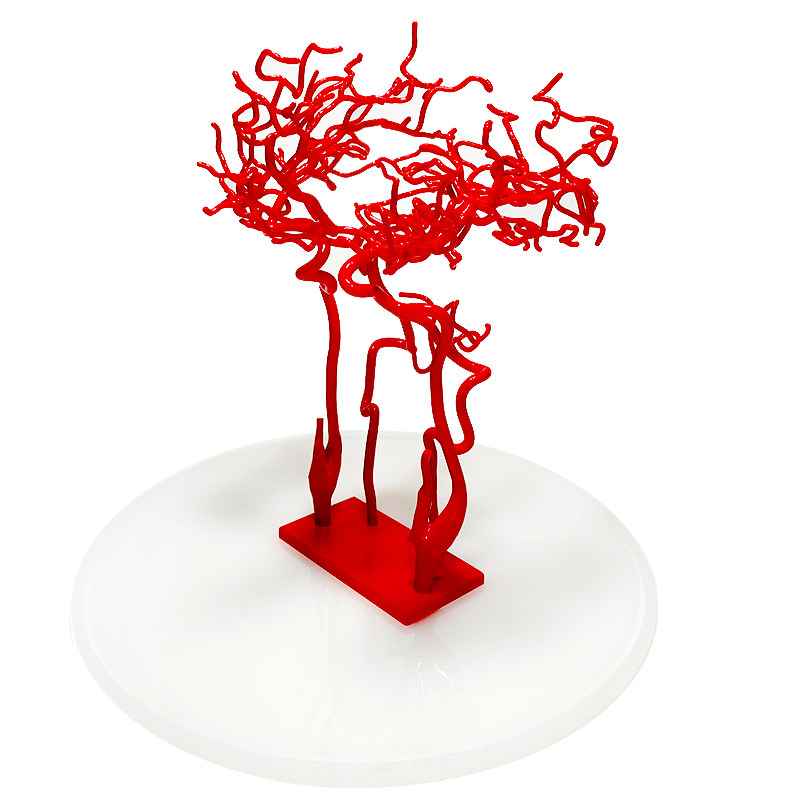 enovo颐诺大脑血管模型 大脑动脉脑血管造影 颈动脉大脑前后循环侧支