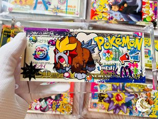 星空-《宝可梦圣兽美金版画砖》雷公水军炎帝神奇宝贝神奇宝贝