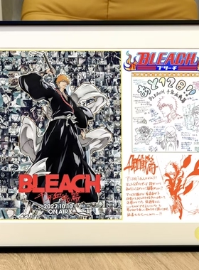 星空《死神千年血战纪念篇》黑崎一护bleach露琪亚Ichigo装饰画