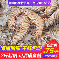舟山竹节虾野生斑节虾鲜活基围虾对虾海鲜水产船冻