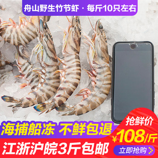 竹节虾野生斑节虾新鲜基围虾超大虎虾舟山海虾海鲜水产