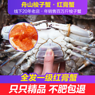 优选舟山红膏蟹2斤新鲜梭子蟹母蟹大飞蟹海鲜水产 保鲜不保活