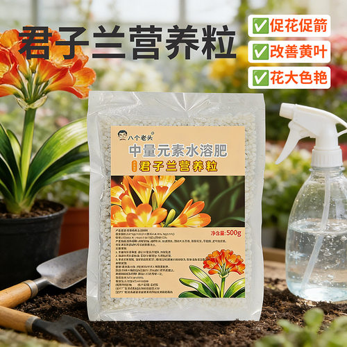 君子兰专属营养颗粒缓释肥料防烧根叶亮纹深花箭挺养根壮苗花期长