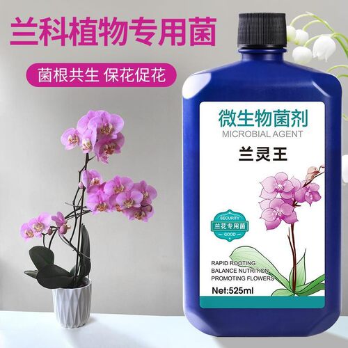 灵王兰花肥料营养液生根催芽em