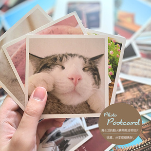 正方款明信片定制小卡片来图定做照片打印制作贺卡邀请函DIY印刷