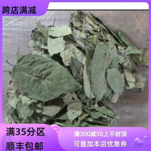 无硫熏 杜仲叶 同仁堂质量 可打粉 杜仲叶子 50g 满 中药材 包邮