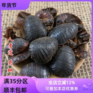 中药材 土鳖虫 地鳖虫 土元 50克 可打粉 满包邮