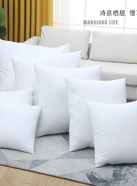 定制抱枕芯靠垫芯65枕头芯50x50内胆枕芯45心内芯子沙发60x60枕芯