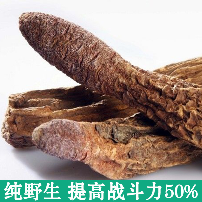 锁阳广西纯野生滋补中草药