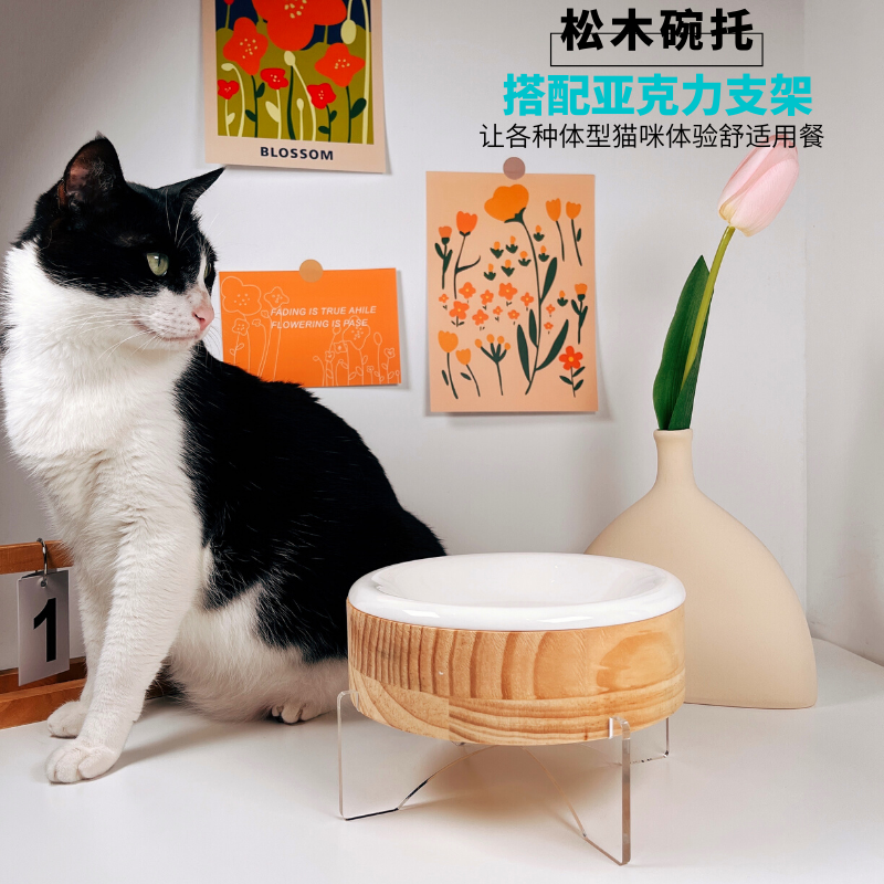 陶瓷猫碗实木碗托保护颈椎防打翻高颜值猫粮碗加菲大脸矮脚猫专用