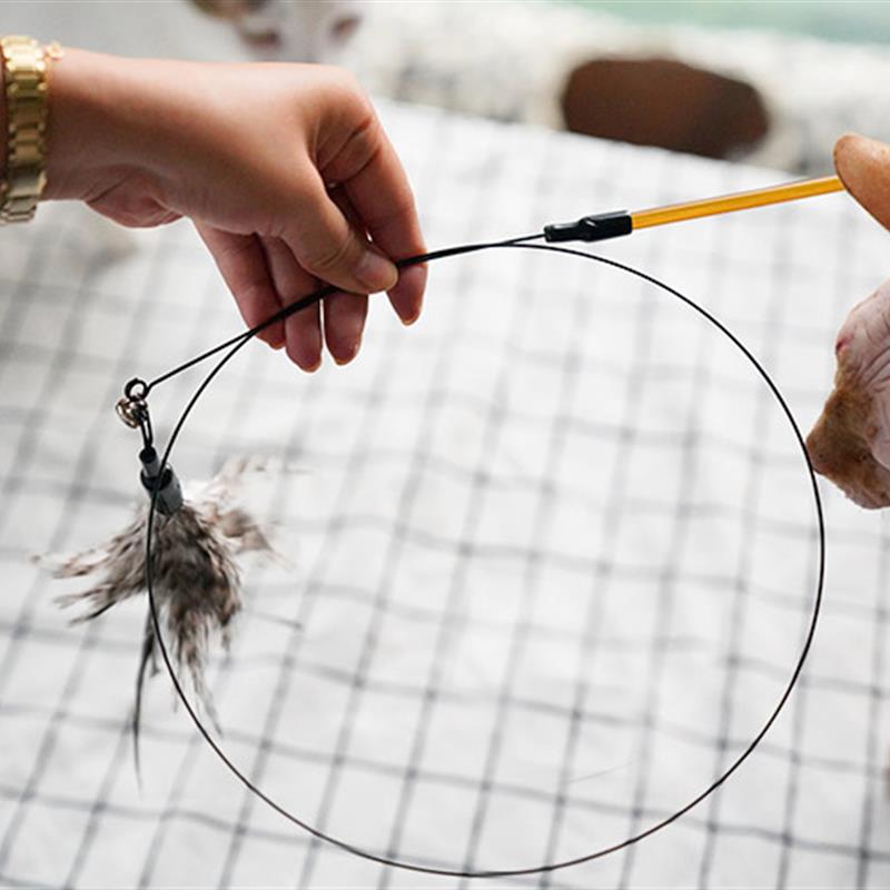 自用款 | MISSPET超长逗猫杆羽毛杆钢丝铃铛猫玩具羽毛逗猫棒柔韧