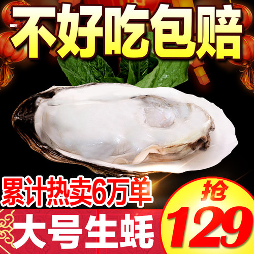 正宗海鲜水产大生蚝斤装乳山牡蛎