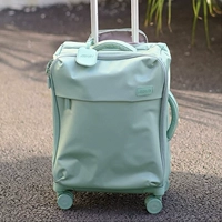 Светло-Зеленый-SF Экспресс