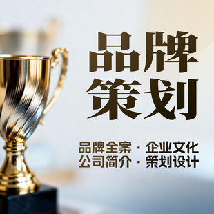 品牌策划全案PPT企业文化公司简介故事策划产品宣传PPT代制作设计