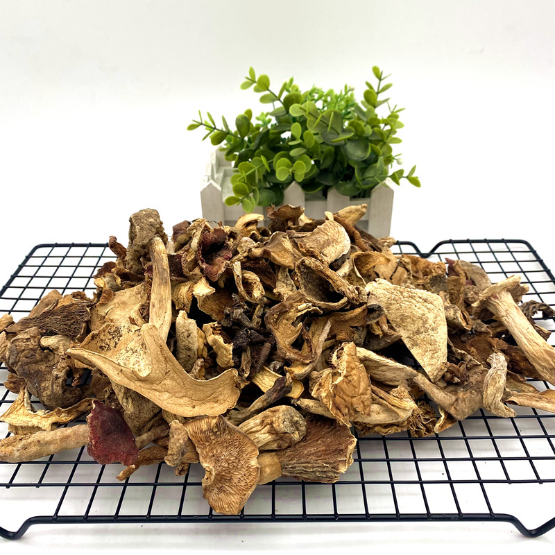 野生黄牛肝菌云南特产菌菇煲汤干片炖汤500g黄牛肝菌干货餐饮商用