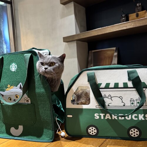 星巴克宠物猫包便携通风透气防应激外出遛猫太空舱斜挎包含猫抓板