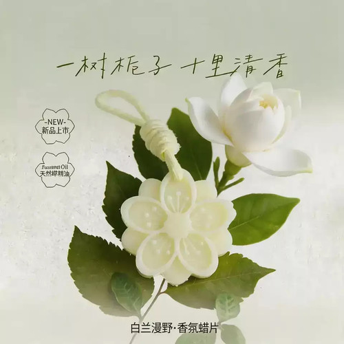 栀子花香薰蜡片衣橱衣柜卫生间持久留香氛挂件家用扩香伴手礼