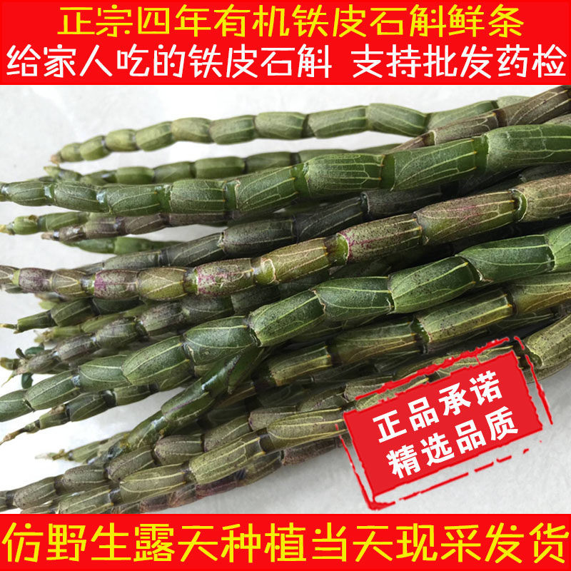乐清雁荡山铁皮石斛鲜条石斛新鲜铁皮石斛四年红杆软脚枫斗正宗