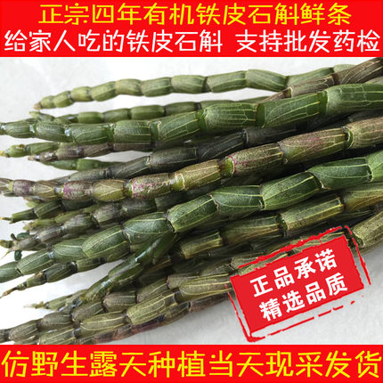乐清雁荡山铁皮石斛鲜条石斛新鲜铁皮石斛四年红杆软脚枫斗正宗