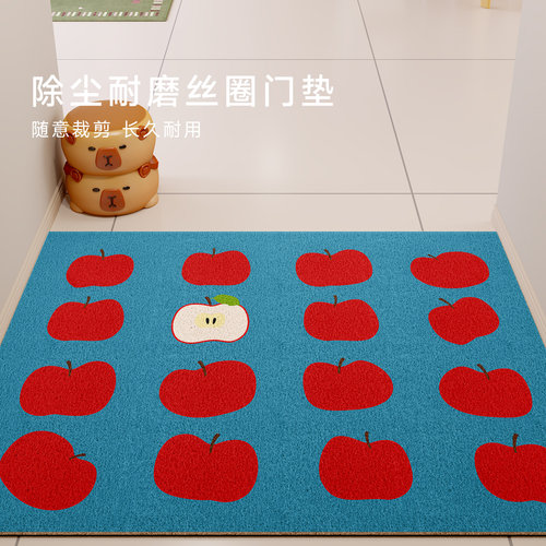 苹果丝圈入户门垫刮泥可裁剪
